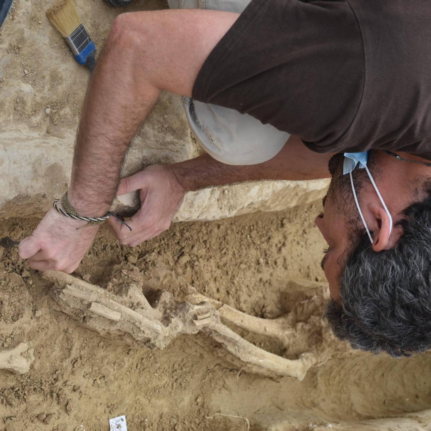 antropología forense 4